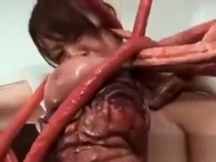 Naked asian sex slave wrapped in big tentacles