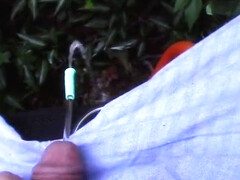 I piss in neighbors garden for 4 straight minutes after drinking 12 pack