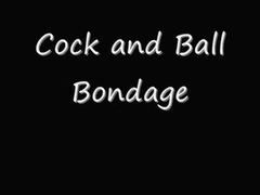 Cock and Ball Bondage