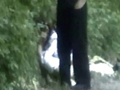 Girls Pissing voyeur video 138