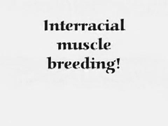 Interracial Muscle breeding!