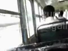 Paja en bus de Lima