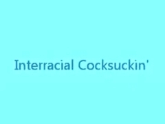 Interracial Cocksuckin