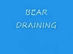 BEAR DRAINING DB