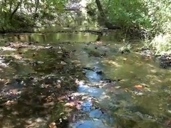 Large Load in the Creek