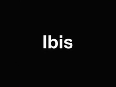 Ibis