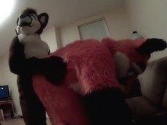 Fursuit sex 122