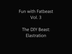 Fun with Fatbeast: How to Bind your Beast