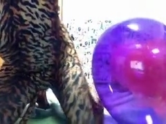 cat humping on balloon