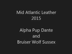 Alpha Pup Dante and Bruiser Wolf Sussex