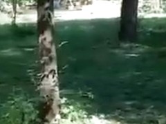 Wet masturbation in the forest