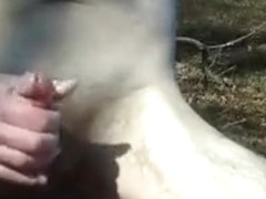 Public Park Jack Off by the Lake