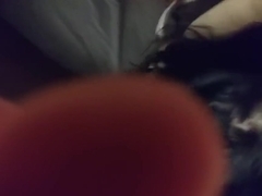 Horny slut sucking my dick