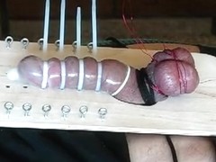 Cock and Ball Bondage