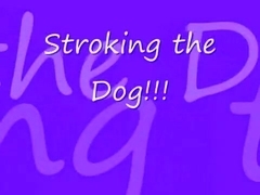 Sroking the Dog