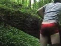 Woodland Wander - P1