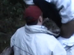 Tate et branle en foret