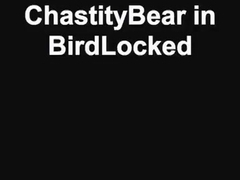 BirdLocked Chastity Device.