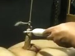 Goth pup 111414 Pt 5