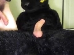 Mushu and Ank Playtime