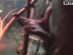 Abbey is brought to the state of sexual despair