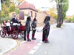ponygirls and ponyboys outdoor