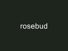 Rosebud sounding array.
