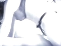 Non-Professional shlong pair