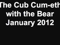 The Cub Cum-eth with the Bear - January 2012