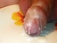 wax auf eichl und teler