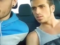 Cute guys sucking and kissing in the car