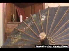 Excellent Wicked Shemale Receives Bareback Drilled in Butt