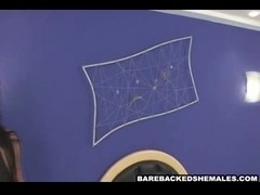 Extreme Hot Bareback Shemale Fucked