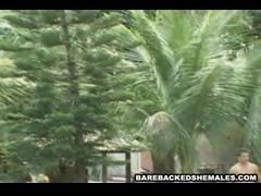 Naughty Big tits Shemale Do Awesome Barebacked