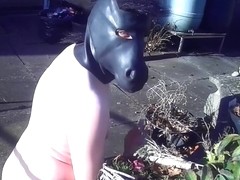 Tasked myself with some outside chores ... Naked!