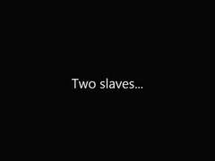 2 slaves...