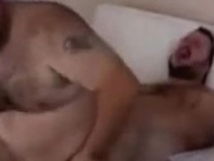 Bears Spain Cpmpilation