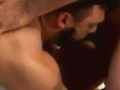 Polvazo en la cama de dos osos