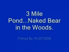 3 mile pond: Naked Bear in the Woods