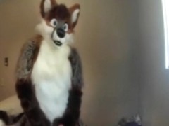 Fursuit sex 136