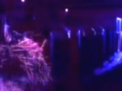 Was dicke MÃ¤dchen trÃ¤umen