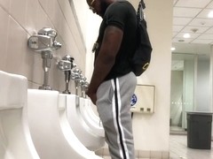 Toronto Sports Urinals