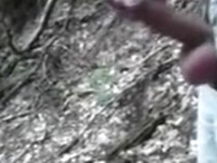 Beim Waldspaziergang