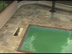 Fucking teen tranny poolside