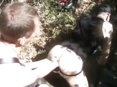 Bois de l'aire d'autoroute