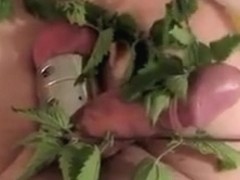 Branle/Wanking hard #50