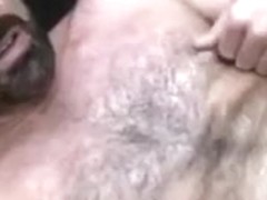 Pool Bears (bareback)