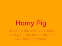 Slutty Pig