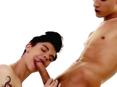 De Biman Hotboy's 1582