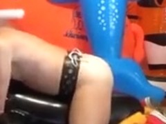 Delphin & Pinguin Sex